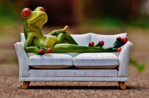 frog-1073426_960_720